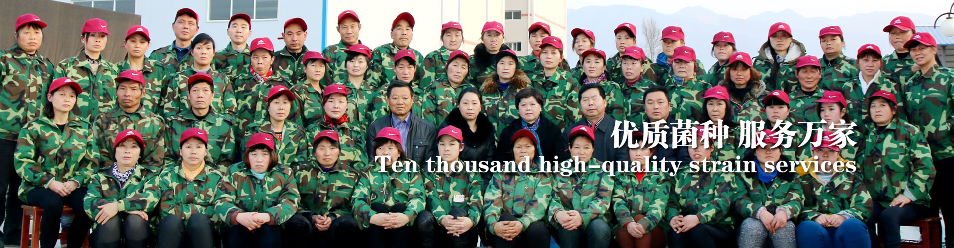 <strong>穩定、放心，就選春森</strong>